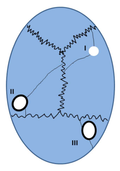 61a4d8216193fa514582a8f2dca23b48653e6122225bf9e0cf54a533735cbaf5-98-0.jpg